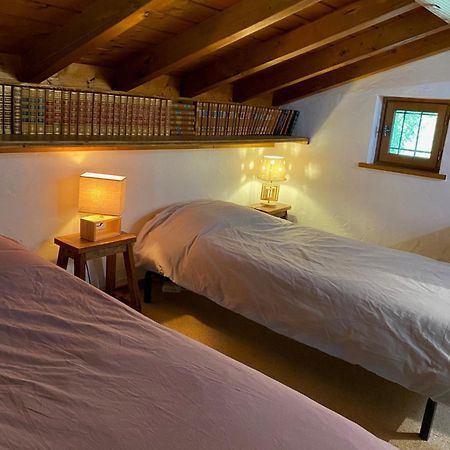 Chalet Erminea シャモニー エクステリア 写真